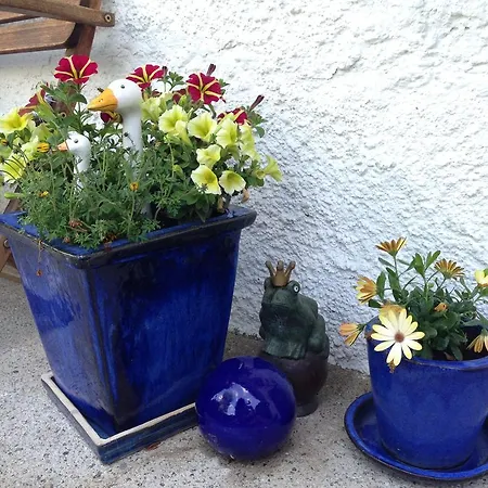 夕阳公寓 雷特温克尔